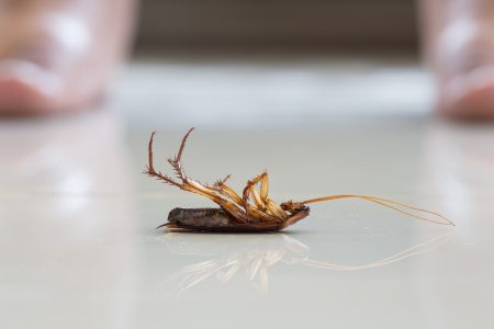 AdobeStock_128215797_1600x1067